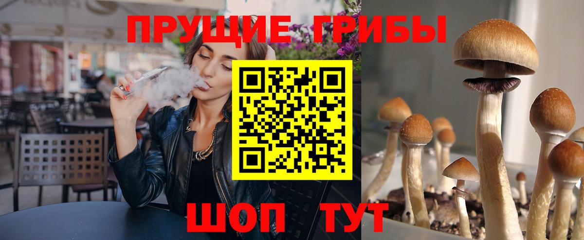 Псилоцибиновые грибы Magic Shrooms  Вход с VPN  Галлюциногенные грибы мицелий  Дубна 
